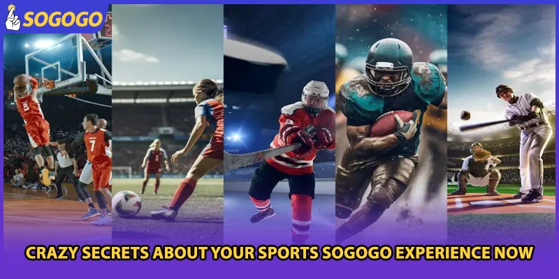 Crazy secrets about your sports Sogogo experience now