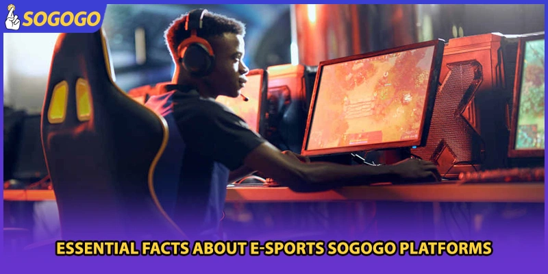 Essential facts about e-sports Sogogo platforms