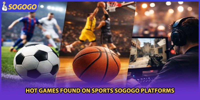 Hot games found on sports Sogogo platforms