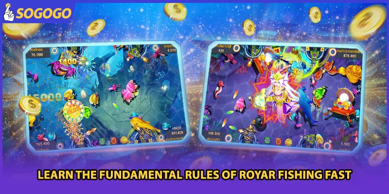 Learn the fundamental rules of Royar Fishing fast