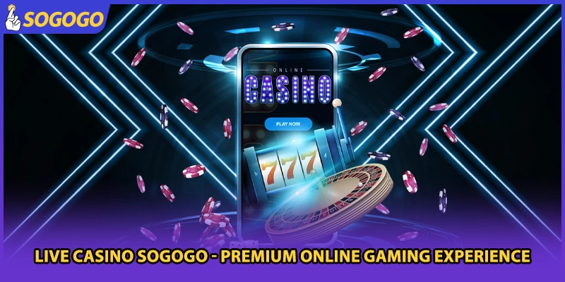 Live Casino Sogogo - Premium Online Gaming Experience