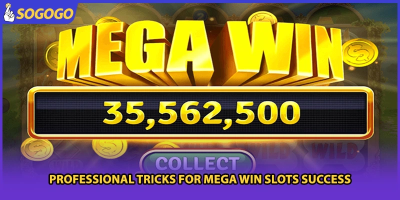 Professional tricks for Mega Win Slots success